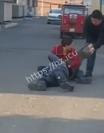 东北比特犬咬人事件