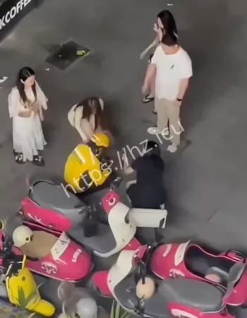 撞死不拴绳爱犬