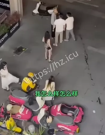 撞死不拴绳爱犬