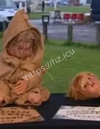 巡展中调查员酒店猝死