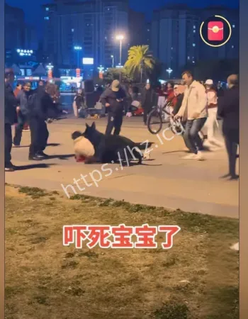 群众围堵救人全程