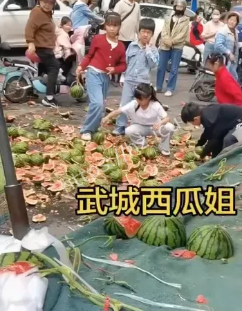整车西瓜被扔满地