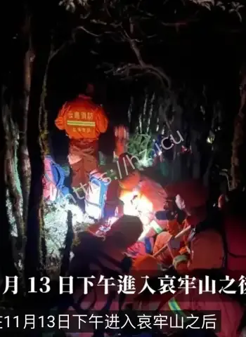 云南死亡森林