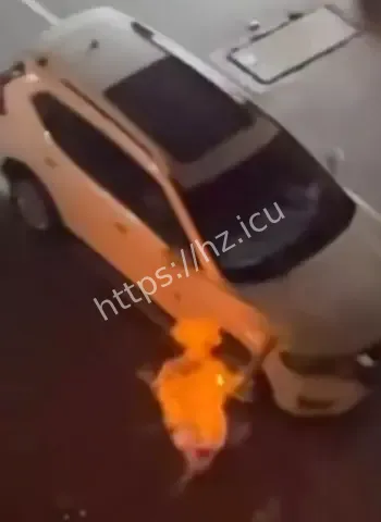 男子瞬间烧成火球