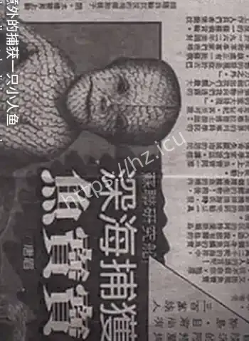 画面太惊悚