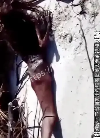 画面太惊悚