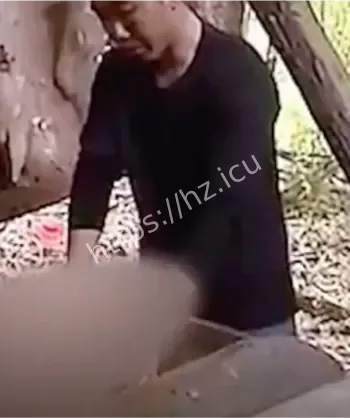 南充营山停棺16年