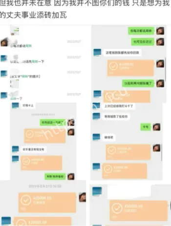 慧慧饱饱前妻锤
