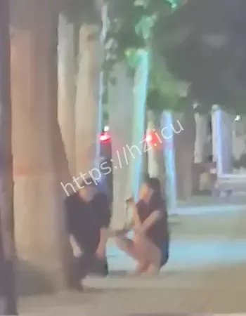 视频全网刷屏