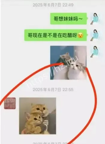 学术资源操控