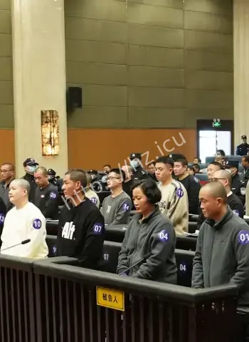 家族后宫丑闻曝光
