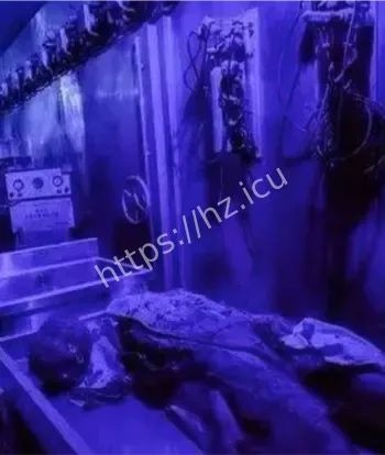 全球最大医院主题鬼屋