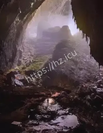 全员失踪