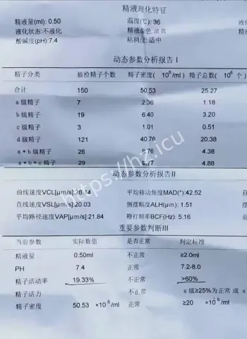 徐琦