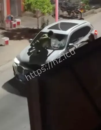 原配扒车砸玻璃