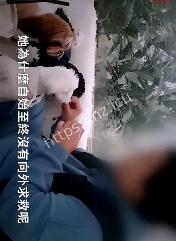 3个月熬成满身蛆虫活尸