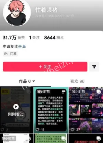 抖音男网红丑闻