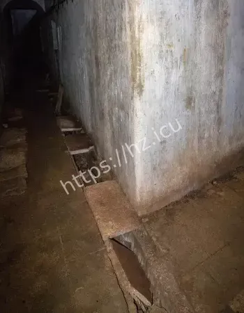 都无功而返