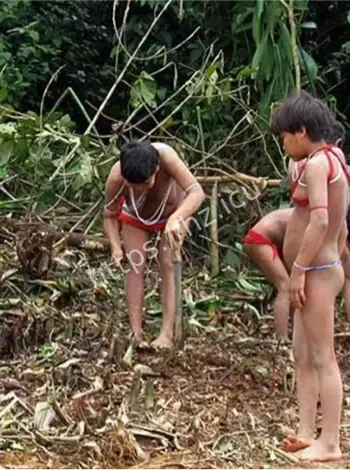 南美原始部落