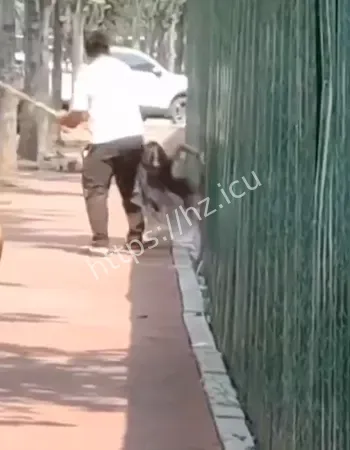 妻子出轨被抓